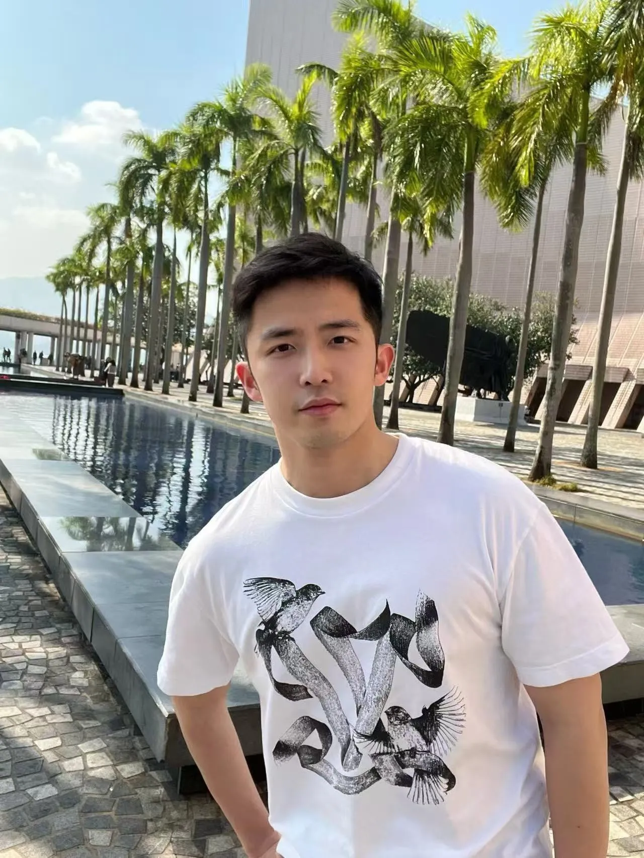 Louis Vuitton/Louis Vuitton white dove print short sleeves